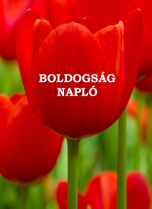 Boldogsagnapló borító